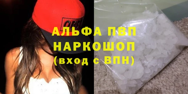 индика Бородино