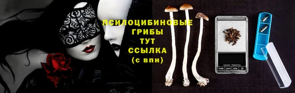 амф Вязьма