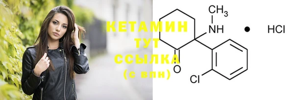 прущие грибы Верхний Тагил