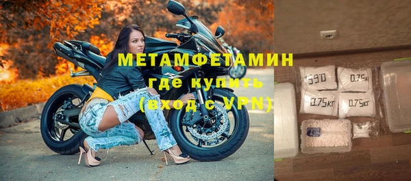 прущие грибы Верхний Тагил