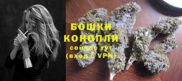 прущие грибы Верхний Тагил
